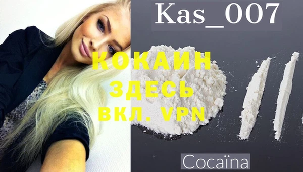 стаф Абинск